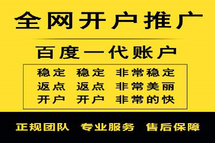 企业案例：SEM推广代运营成果展示