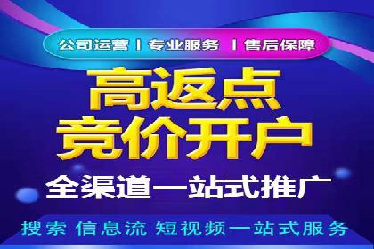 百度竞价价格策略，案例启示录